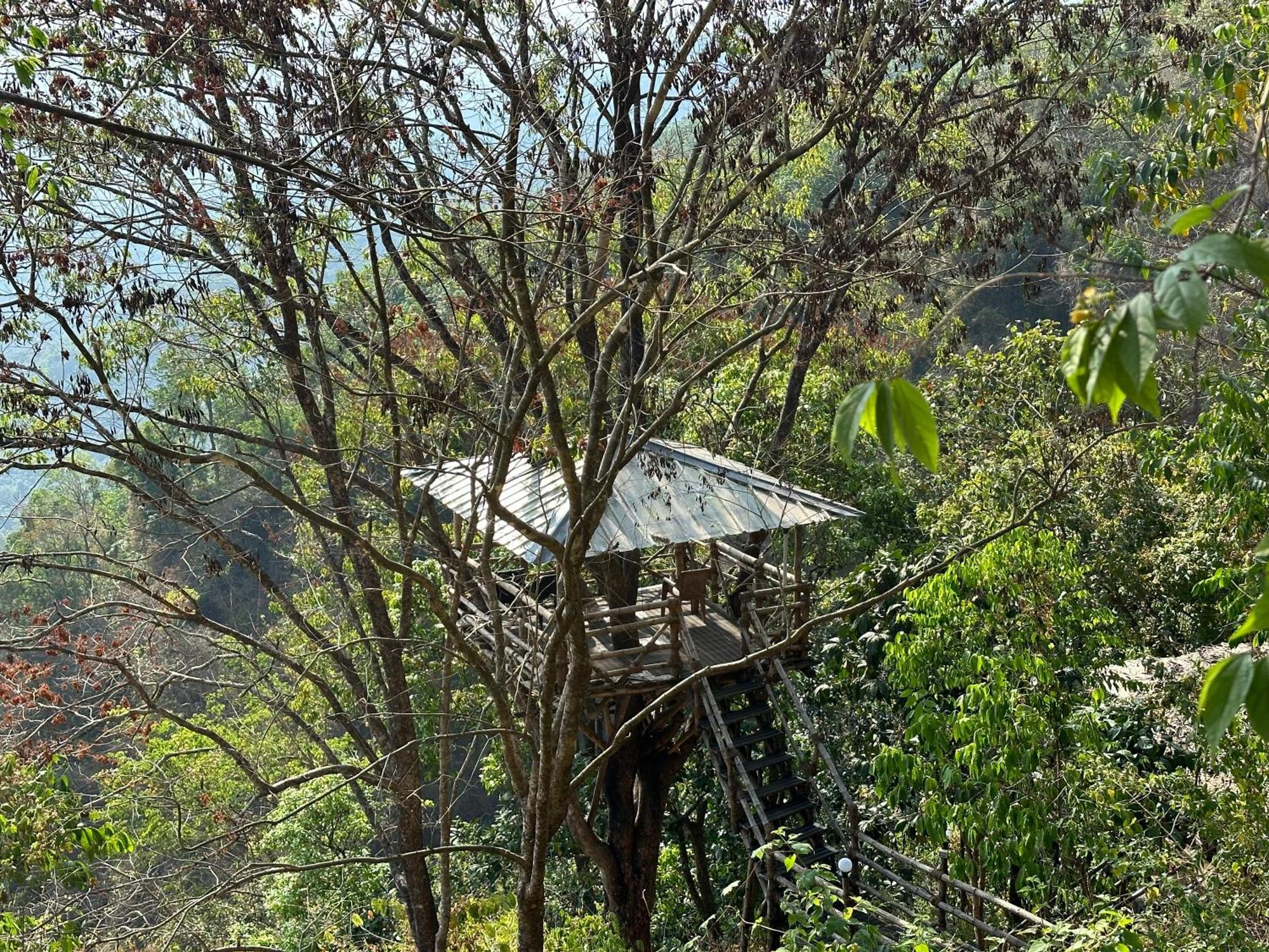 Sunset Valley Kerala Pool Resort - Serene Natural Forest Cottage Stay In Idukki With Sunrise & Sunset Panoramas, Natural Streams & Tranquil Summer Evenings Pīrmed Zewnętrze zdjęcie