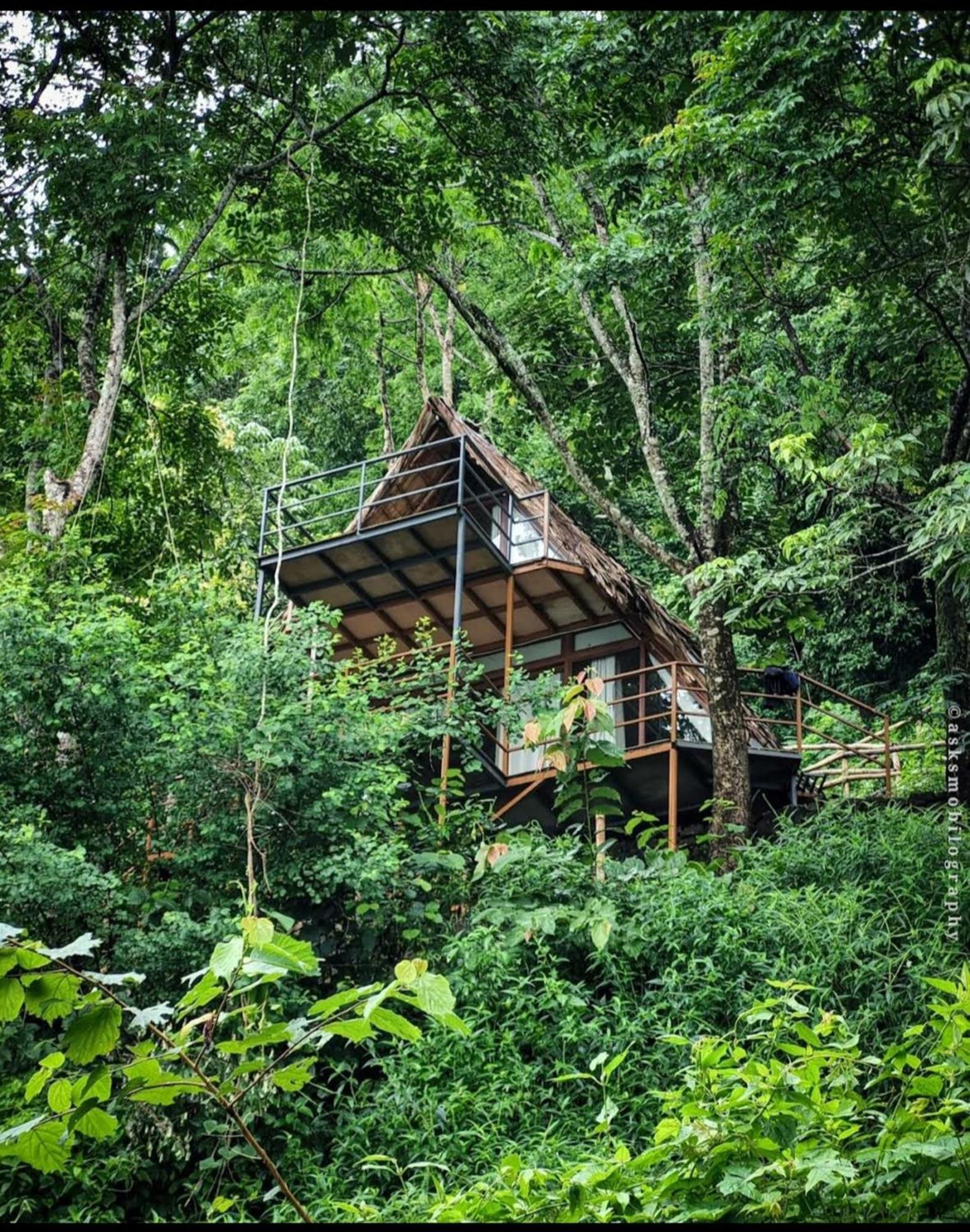 Sunset Valley Kerala Pool Resort - Monsoon Forest Cottage Stay In Idukki With Private Waterfalls, Natural Streams & Breathtaking Views Pīrmed Zewnętrze zdjęcie