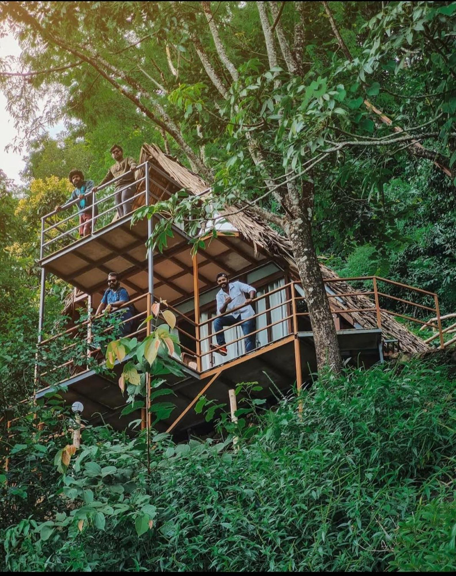 Sunset Valley Kerala Pool Resort - Serene Natural Forest Cottage Stay In Idukki With Sunrise & Sunset Panoramas, Natural Streams & Tranquil Summer Evenings Pīrmed Zewnętrze zdjęcie