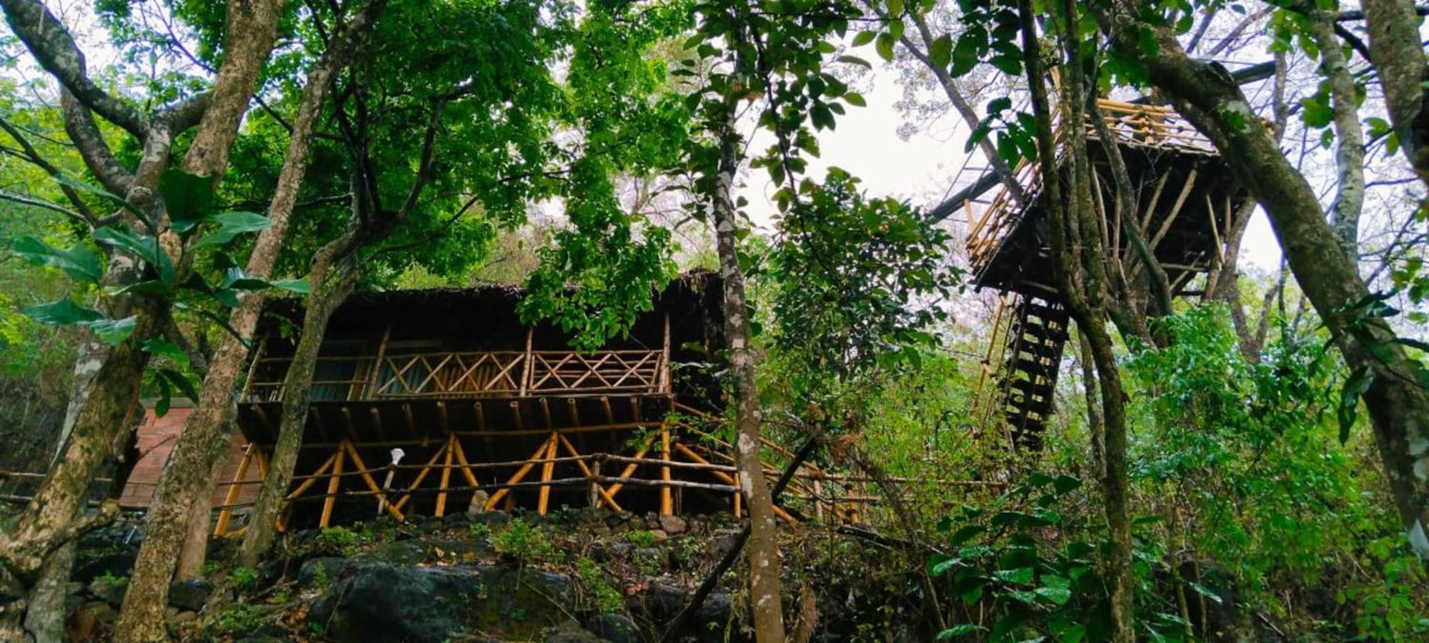 Sunset Valley Kerala Pool Resort - Serene Natural Forest Cottage Stay In Idukki With Sunrise & Sunset Panoramas, Natural Streams & Tranquil Summer Evenings Pīrmed Zewnętrze zdjęcie