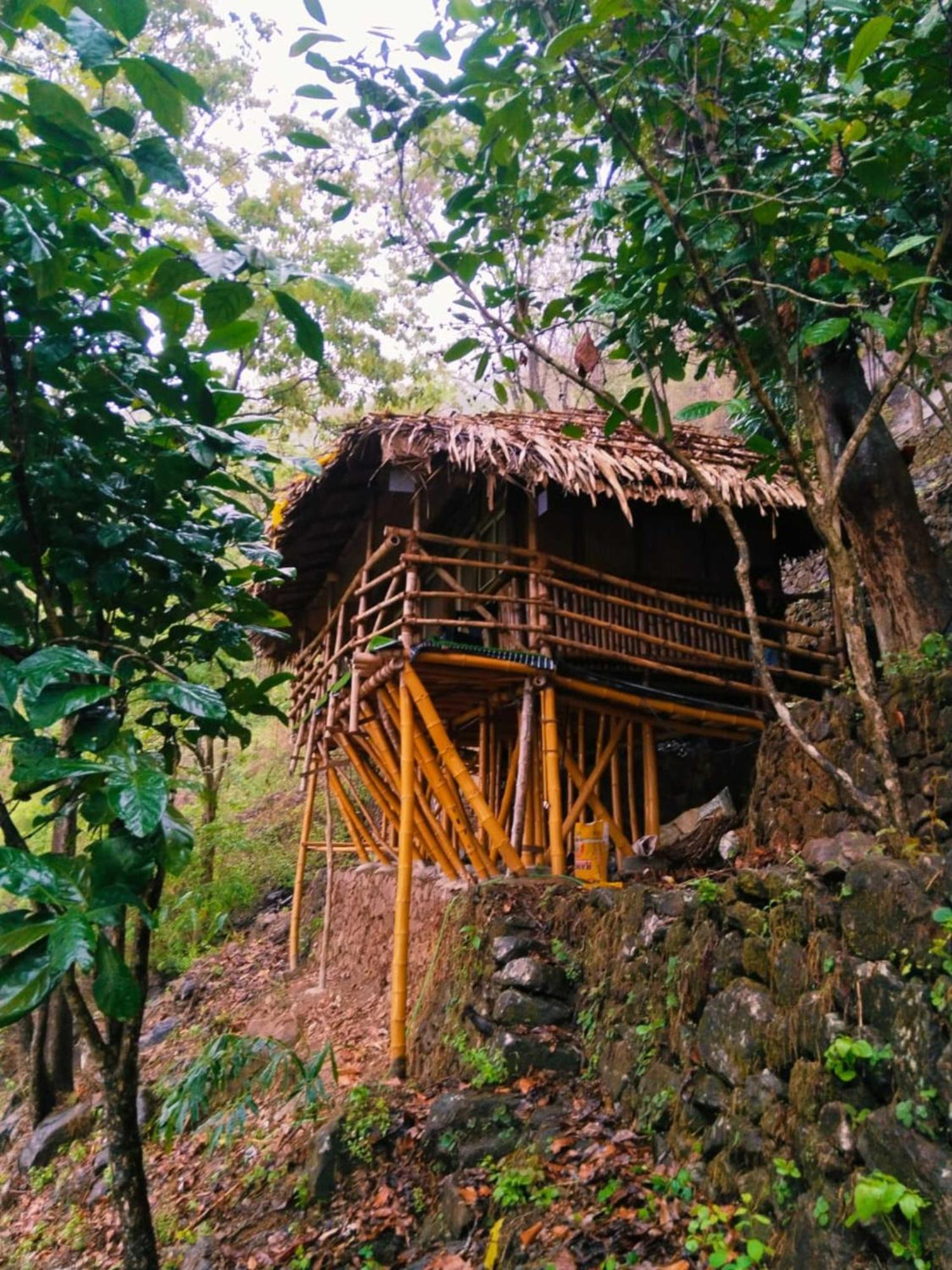 Sunset Valley Kerala Pool Resort - Serene Natural Forest Cottage Stay In Idukki With Sunrise & Sunset Panoramas, Natural Streams & Tranquil Summer Evenings Pīrmed Zewnętrze zdjęcie